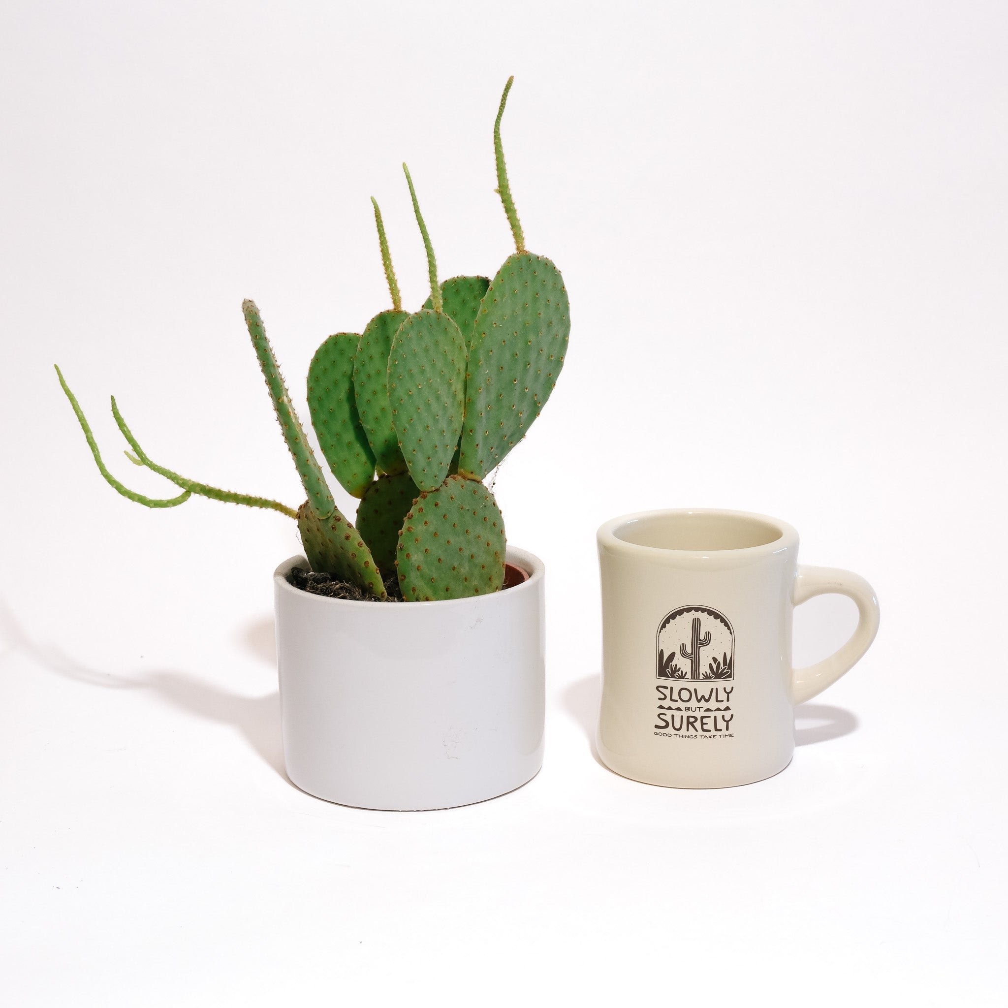 slowly but surely - diner mug