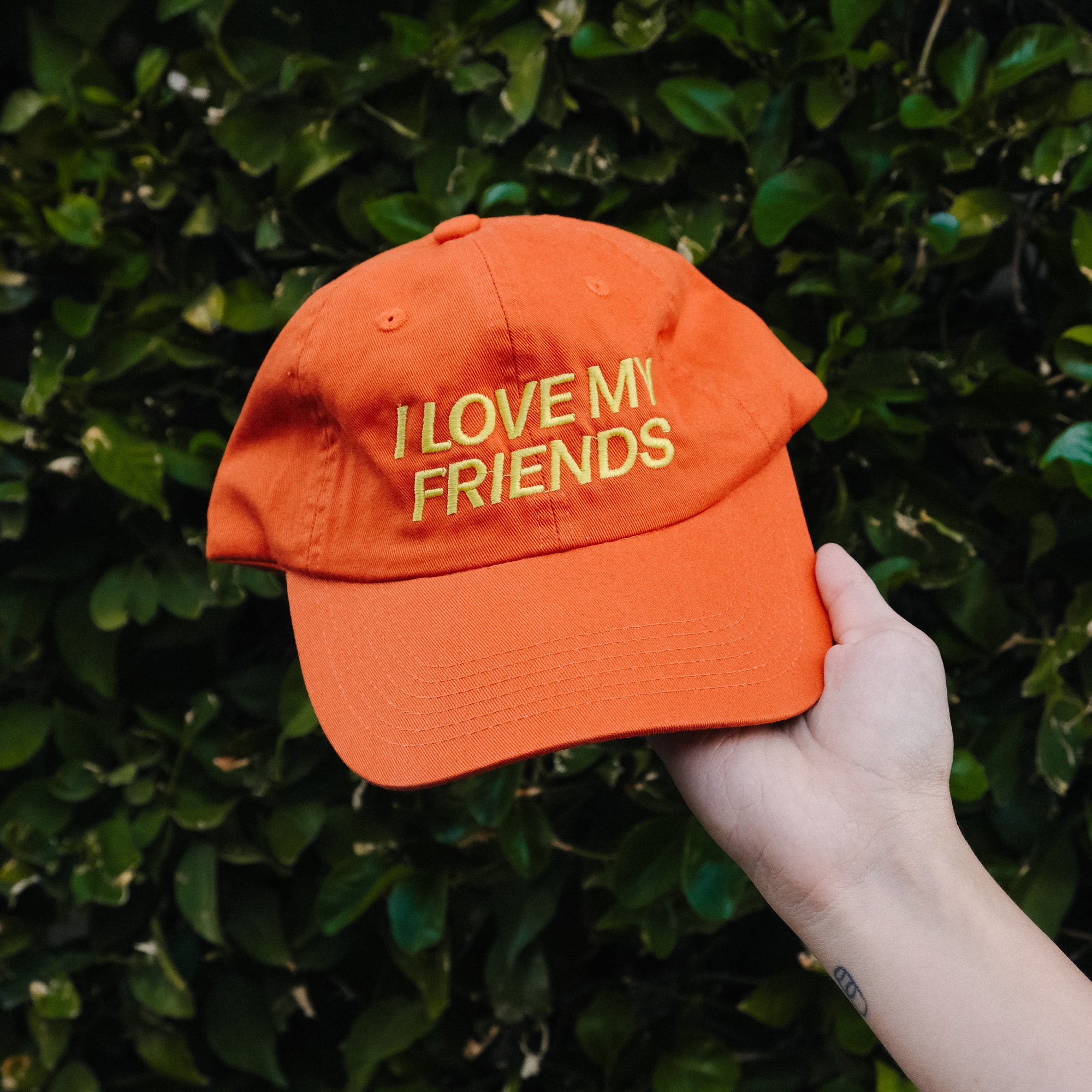 I love my friends hat