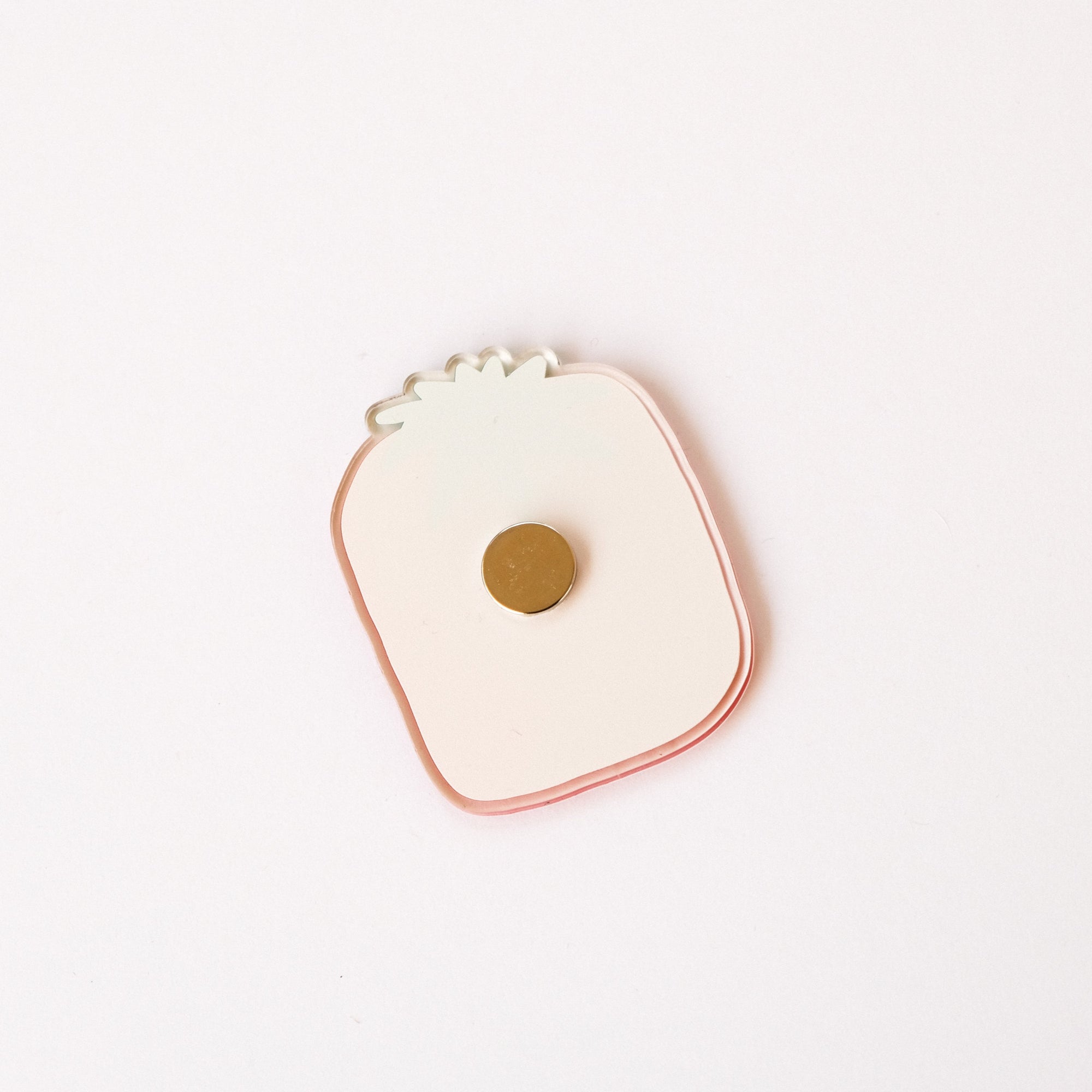 tomato magnet