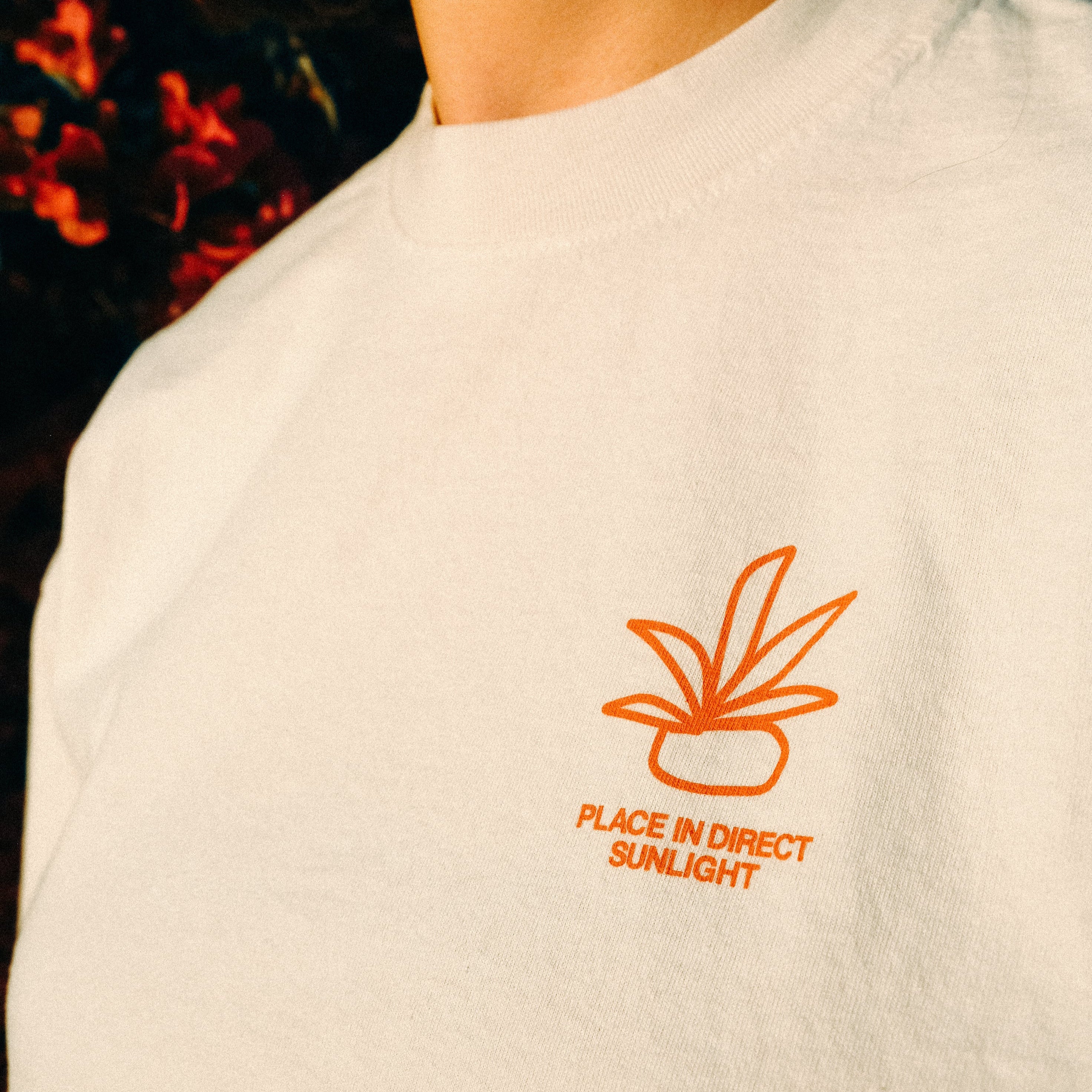 place in direct sunlight - t-shirt