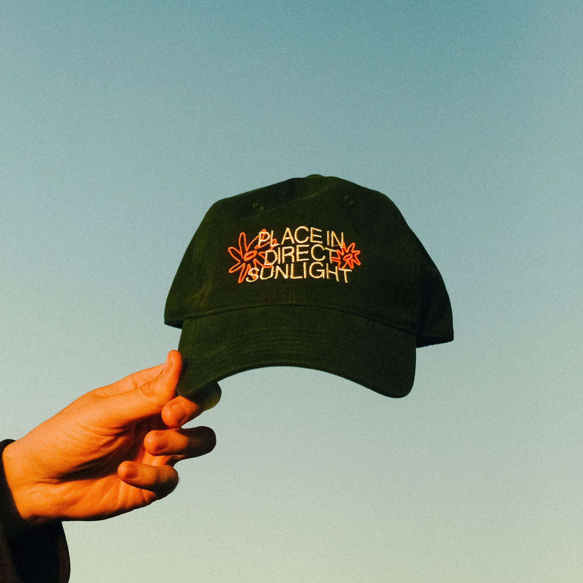 place in direct sunlight hat