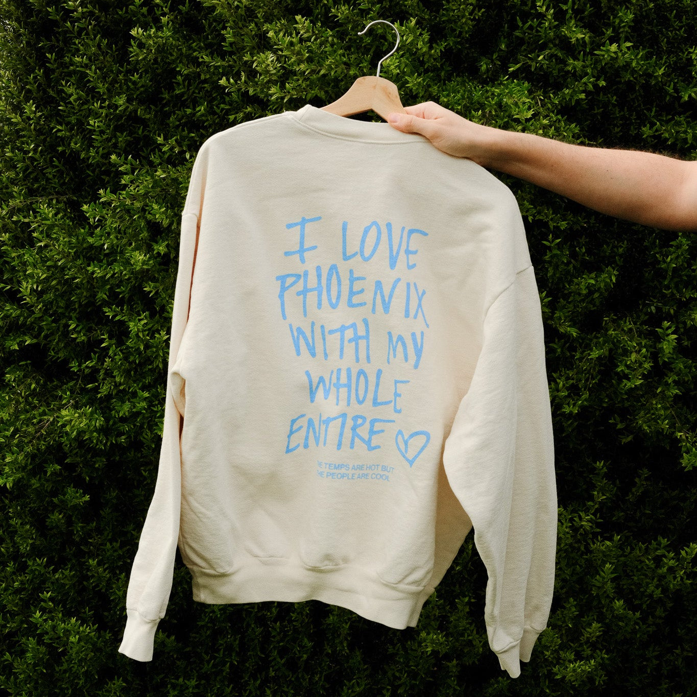 Beige sweatshirt with blue text on a hanger against a green bush background