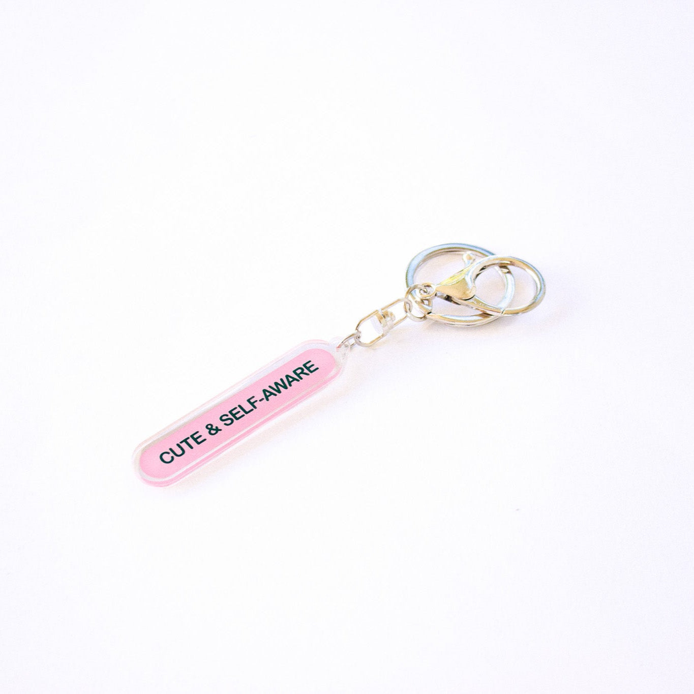cute & self-aware keychain
