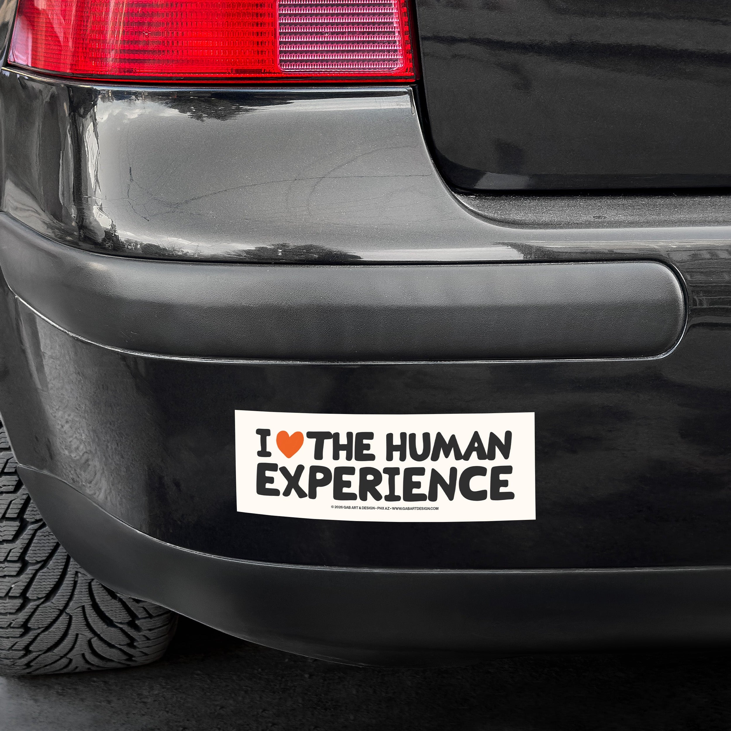 i love the human experience bumper sticker / magnet